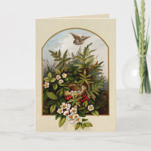 Vintage Bird With Nest Card