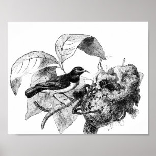 vintage bird with nest tree art illustration poster