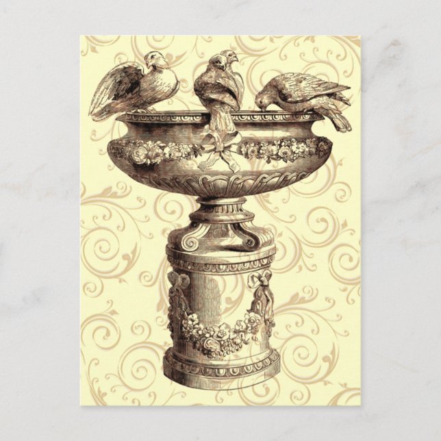 Vintage Birdbath Postcard (Front)