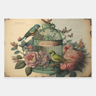 Vintage Birdcage Decoupage Drawer Liners Wrapping Paper Sheet