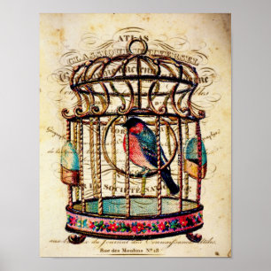 Vintage Birdcage French Paper Art Print