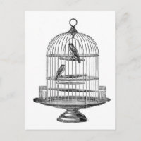 Vintage Birdcage with Birds...postcard