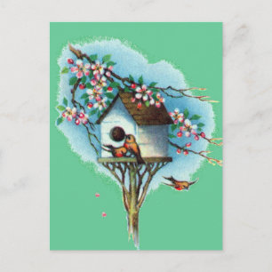 Vintage Birdhouse Postcard