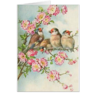 Vintage Birds