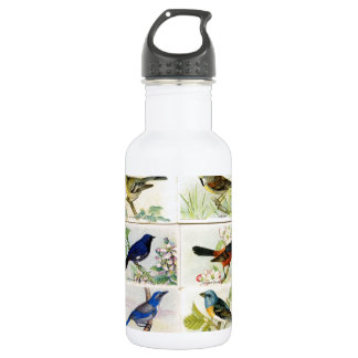 Vintage Birds 532 Ml Water Bottle