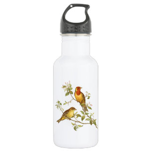 Vintage Birds 532 Ml Water Bottle