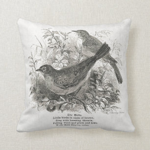 Vintage birds adorn this farmhouse pillow