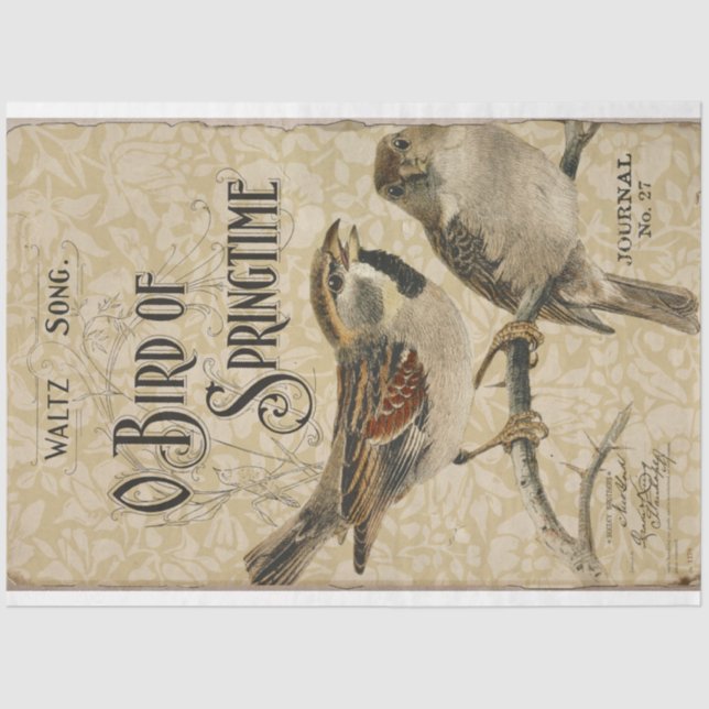 Vintage Birds and Ephemera Decoupage Tissue Paper (Front)