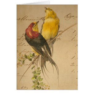 Vintage Birds and Ledger Paper