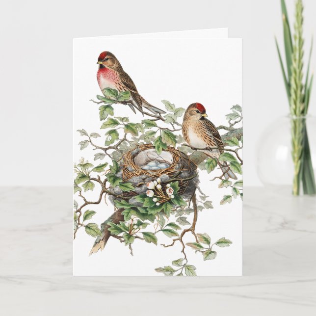 Vintage Birds and Nest, Mother's Day Card (Front)