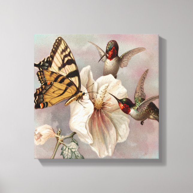 Vintage Birds & Butterfly Sharing a Meal Canvas Print (Front)