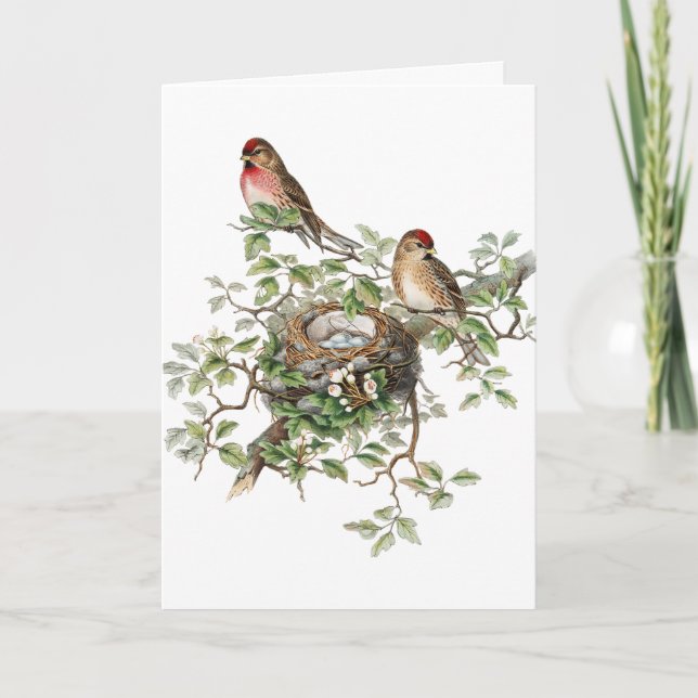 Vintage Birds, German Birthday Card (Front)