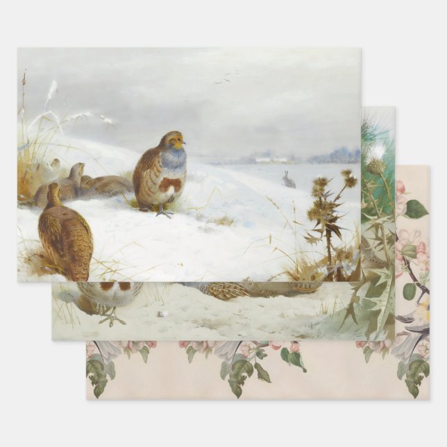 Vintage birds illustrations art wrapping paper sheet (Set)