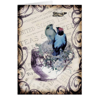 Vintage Birds In Teacup