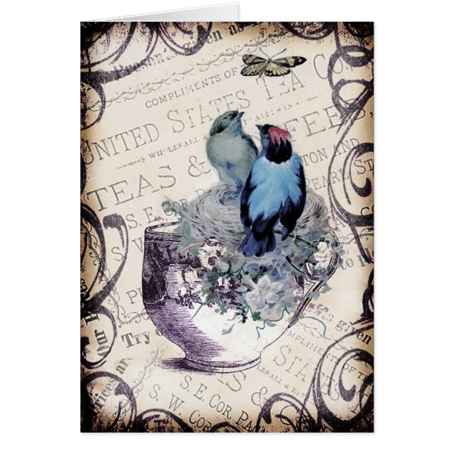 Vintage Birds In Teacup (Front)