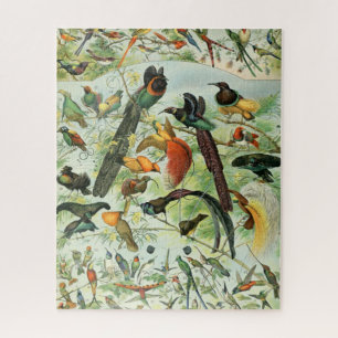 Vintage Birds Old Book Illustration Art Animals Jigsaw Puzzle