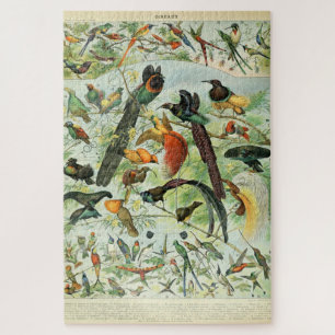 Vintage Birds Old Book Illustration Art Animals Jigsaw Puzzle