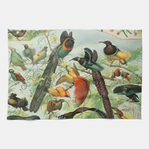 Vintage Birds Old Book Illustration Art Animals Kitchen Towel