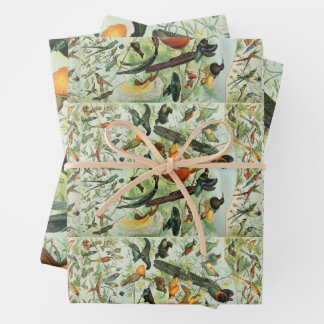 Vintage Birds Old Book Illustration Art Animals Wrapping Paper Sheet