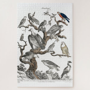 Vintage Birds Old Book Illustration Art Jigsaw Puzzle
