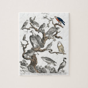 Vintage Birds Old Book Illustration Art Jigsaw Puzzle
