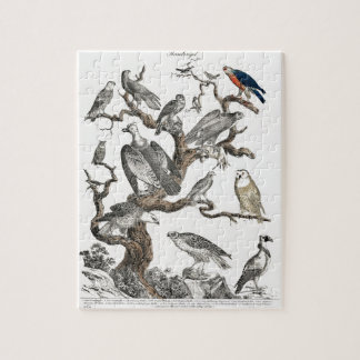 Vintage Birds Old Book Illustration Art Jigsaw Puzzle