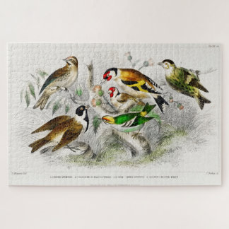 Vintage Birds Old Book Illustration Art Jigsaw Puzzle