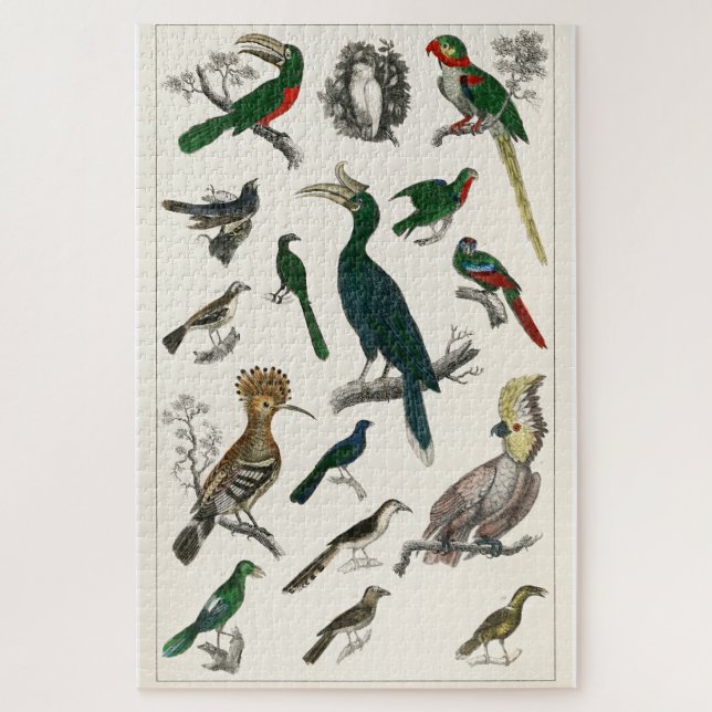 Vintage Birds Old Illustration Art Animals Jigsaw Puzzle (Vertical)