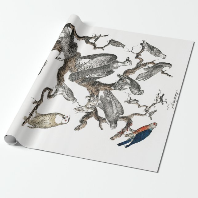 Vintage Birds Old Illustration Art Animals Wrapping Paper (Unrolled)