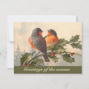 Vintage birds on holly branch  postcard