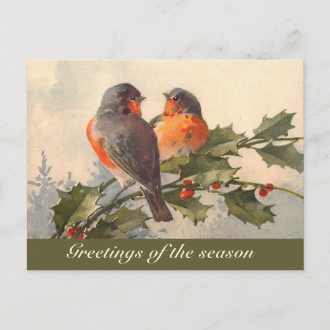 Vintage birds on holly branch  postcard (Front)