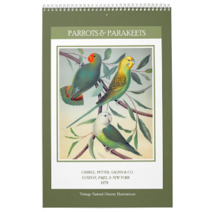 Vintage Birds - Parrots and Parakeets 2026 Calendar
