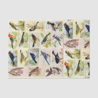 Vintage Birds Postcards Decoupage Tissue Paper