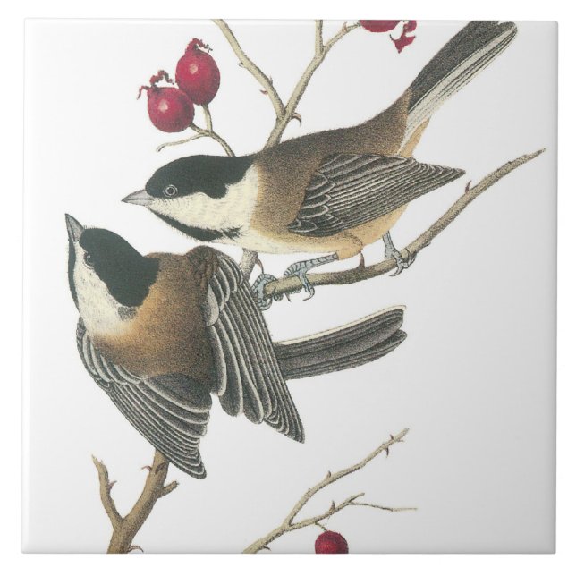 Vintage Birds Tile (Front)