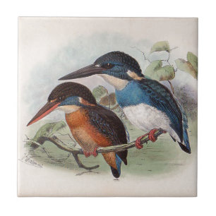 Vintage Birds Tile