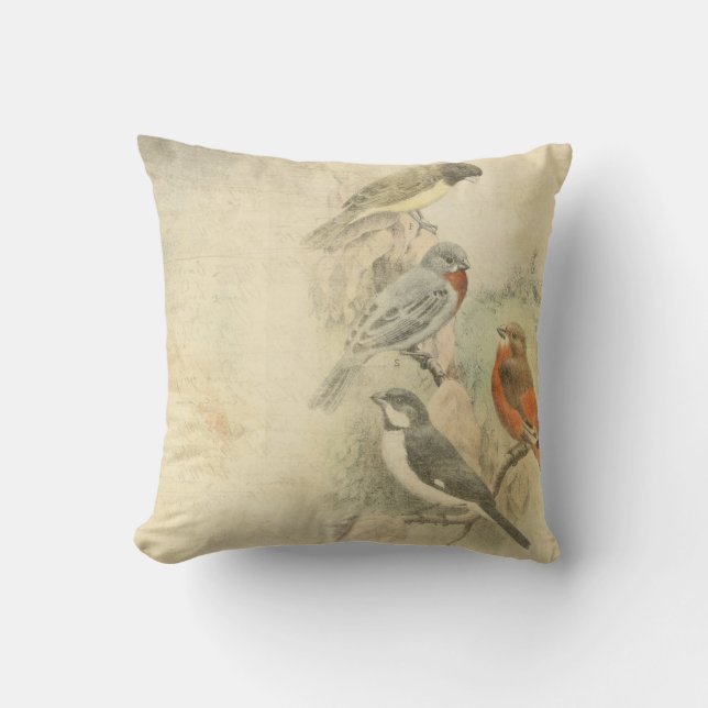 Vintage Birds Worn Design Throw Pillow (Front)