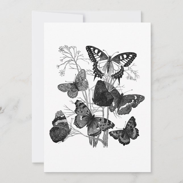 Vintage Black and White Butterflies Invitation (Front)