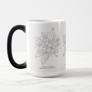 Vintage Black and White California Rose Bay Magic Mug