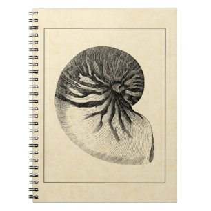 Vintage Black and White Conch Shell Notebook