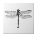 Vintage Black and White Dragonfly Illustration Tile<br><div class="desc">Vintage Black and White Dragonfly Illustration</div>