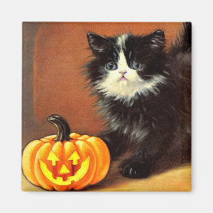 Vintage Black and White Halloween Kitten Magnet