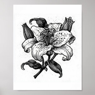Vintage black and white lily flower poster