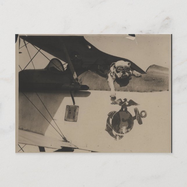 Vintage Black and White Military Bulldog Aviation Postcard (Front)