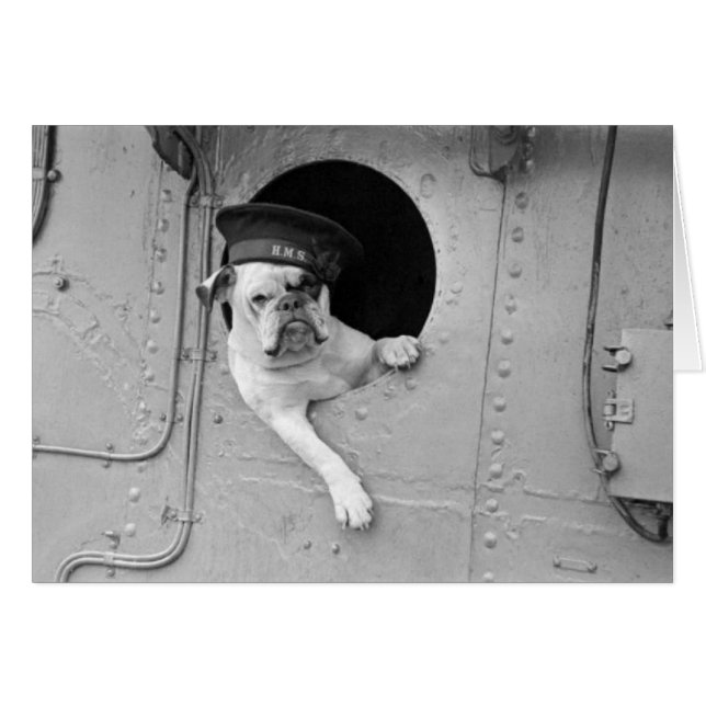 Vintage Black and White Military Bulldog Nautical (Front Horizontal)