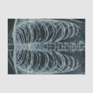 Vintage Black And White Skeleton Xray Tissue Paper