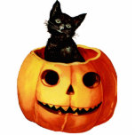 Vintage Black Cat and Pumpkin Magnet Sculpture Photo Sculpture Magnet<br><div class="desc">Vintage Wishes from a precious little reminder of Halloween past. This is a must have for the holidays. Click customize and add your own text.</div>