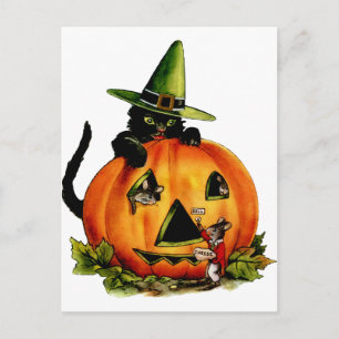 Vintage Black Cat and Pumpkin Postcard