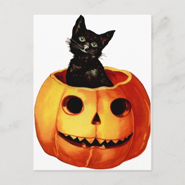 Vintage Black Cat and Pumpkin Postcard (Front)