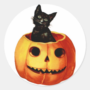 Vintage Black Cat and Pumpkin Sticker