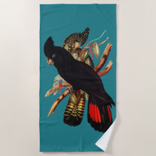 Vintage Black Cockatoo   Elizabeth Gould 1800s Pos Beach Towel
